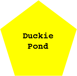 Duckie Pond